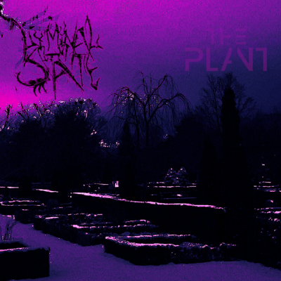 Liminal State cover by THE PALNT