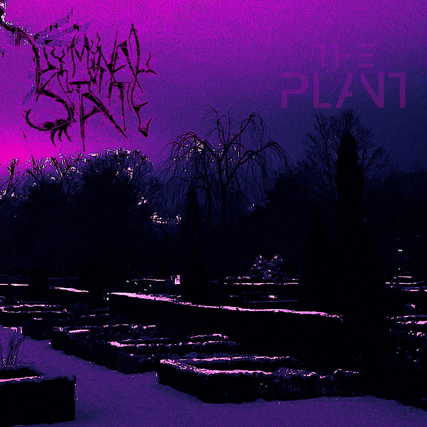Liminal State cover by THE PALNT
